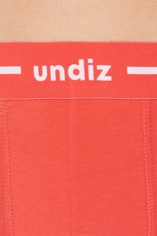 Boxers Mordiz - Salmão