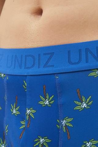 Boxers Repeatiz Cocoskulliz - Caqui