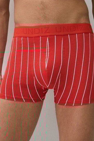 Boxers Repeatiz Lignrougiz Laranja