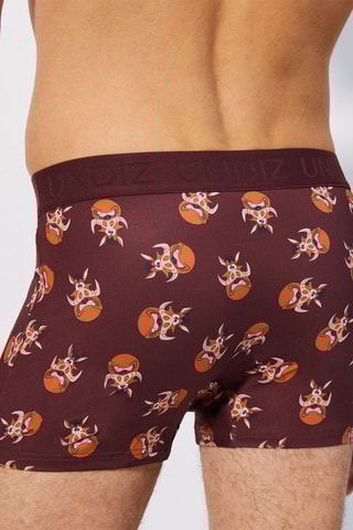 Boxers Repeatiz - Bordô e castanho