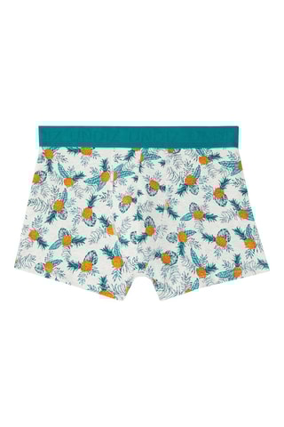 Boxers New Katchiz Tropananiz Turquesa