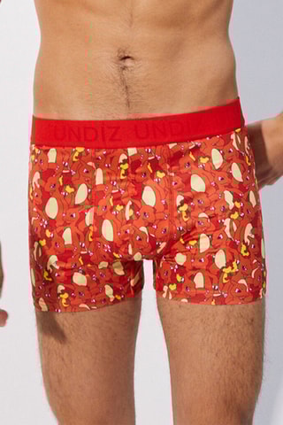 Boxers Reptincel Pokémon Repeatiz Reptinciz Laranja