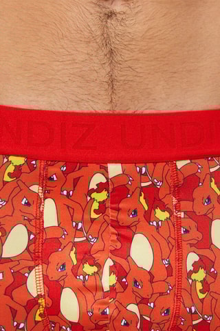 Boxers Reptincel Pokémon Repeatiz Reptinciz Laranja