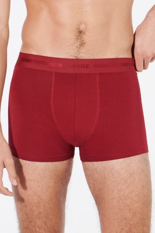 Boxers Superbouliz - Bordô - Undiz