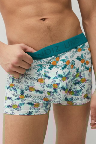 Boxers Repeatiz - Turquesa
