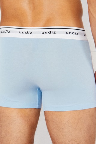 Boxer Boxeruniz - Ciel