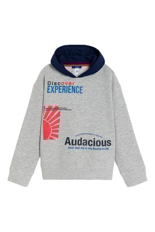 Sudadera con capucha - Gris - Okaidi