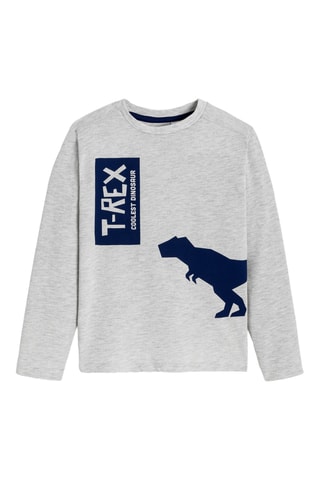 Camiseta - Gris - Okaidi