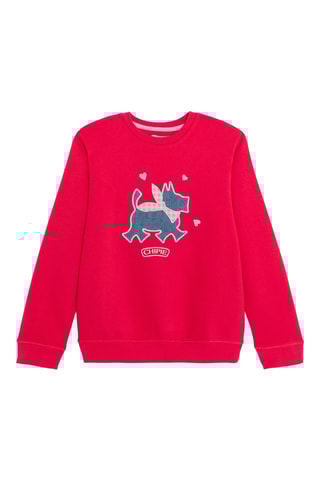 Sudadera - Rojo - Kidiliz
