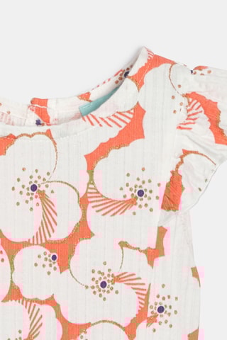 Peto - Blanco - Obaibi