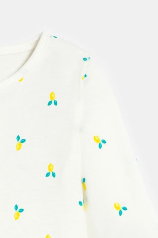 2 peleles - Crudo y azul claro