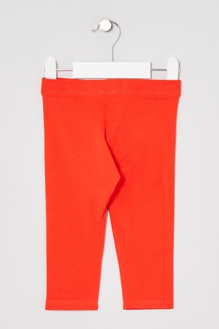 Mallas piratas - Coral