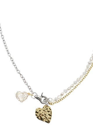 Ketting - Zilverkleurig en Goudkleurig