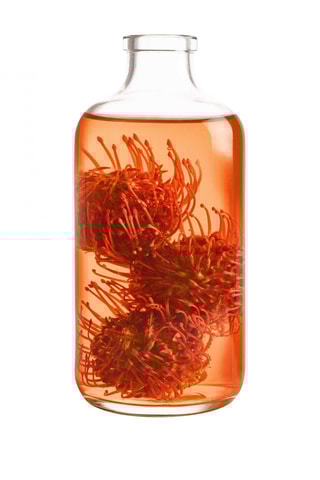 Crema capilar salvadora de puntas Dream Long - Aceite de ricino - Cabello largo dañado - 200 ml