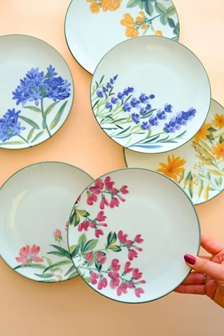 6 platos de postre de porcelana - 20 cm