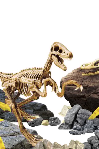 Kit científico Velociraptor - De 7 a 12 años