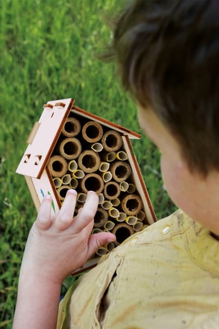 Kit científico laboratorio de abejas - Desde 8 años