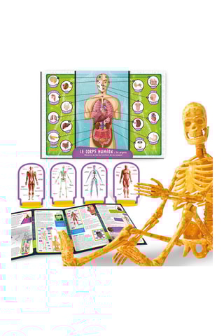 Kit scientifique découverte du corps humain - Dès 8 ans