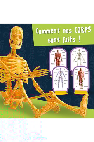 Kit scientifique découverte du corps humain - Dès 8 ans