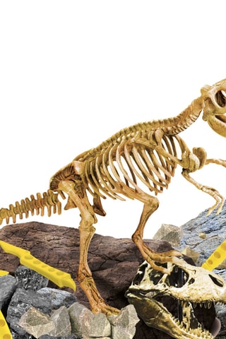 Kit científico Tyrannosaurus Rex - De 7 a 12 años