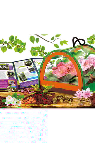 Kit scientifique découverte de la botanique - Dès 7 ans