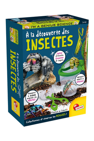 Kit scientifique découverte des Insectes - Dès 7 ans