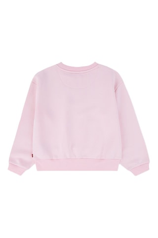Sweat - Bleu et rose