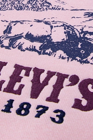 Sweat à capuche - Rouge et rose