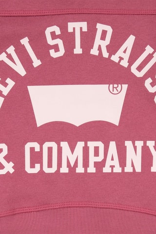 Sweat à capuche - Rose