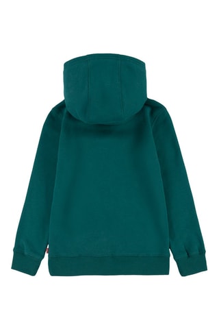 Sweat à capuche - Vert