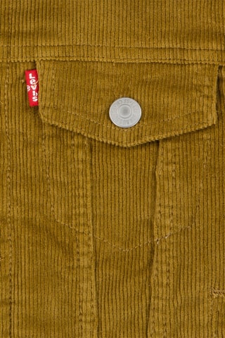 Veste en jean - Marron