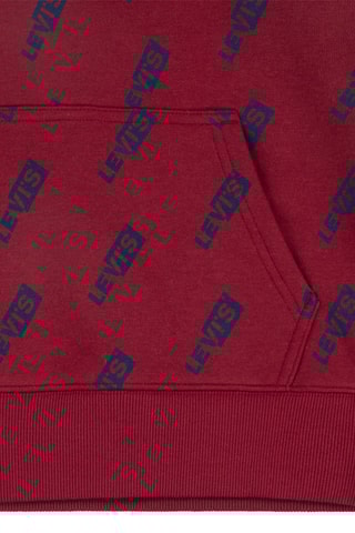 Sweat à capuche - Rouge