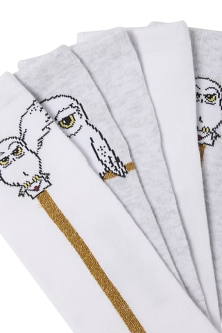 5 paires de chaussettes Hedwidge Harry Potter - Blanc