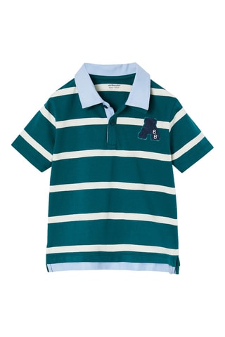 Polo - Verde-pinheiro