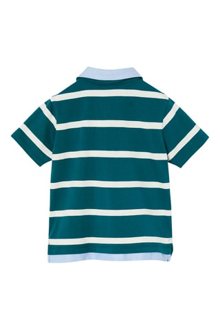 Polo - Verde-pinheiro