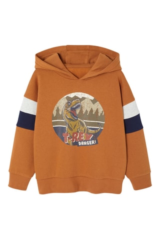 Sweat à capuche - Moutarde et écru