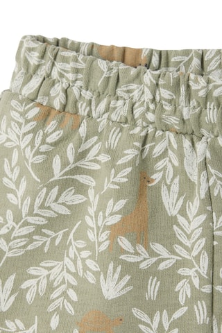 2 shorts en coton biologique - Vert clair