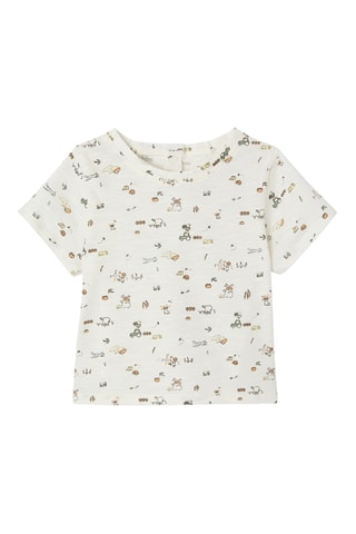 2 t-shirts em algodão biológico - Bege