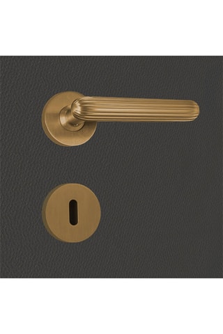 2 poignées de porte à clé Tina - 13 x 6 x 3,9 cm - aspect or mat