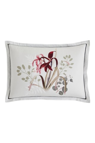 Cojín Lori - Blanco y rojo - 50 x 30 cm