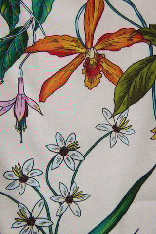 Top  - Bianco e verde