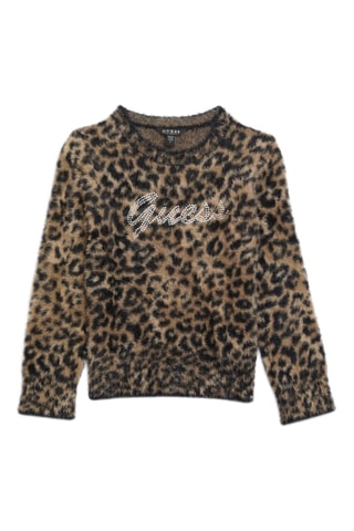 Pull Leo - Marron