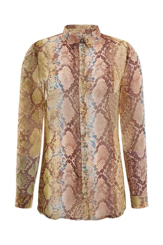 Chemiser - Marron et vert clair