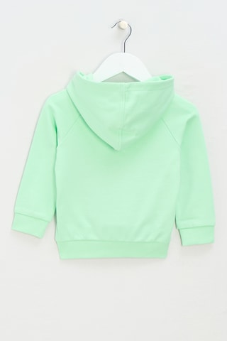 Sweat à capuche - Vert d’eau et bleu