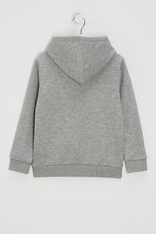 Sweat à capuche - Gris chiné