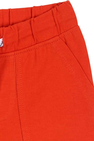 Short Basicos Baby S23 - Oranje