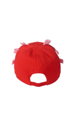 Pet Beach Day - Rood