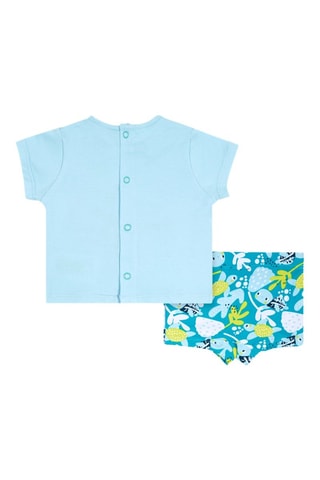 Bikini Turtles - Blauw