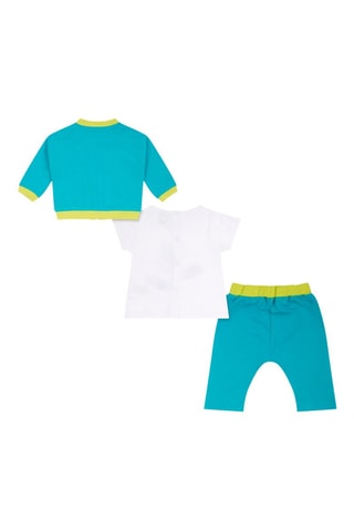 3-delige Set Turtles - Groen