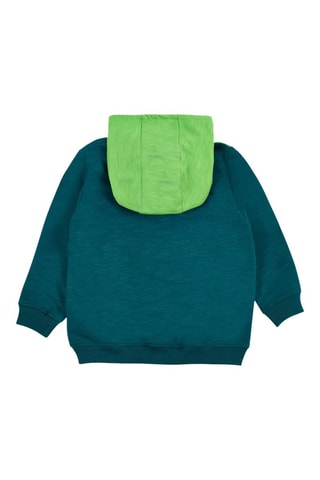 Sweat à capuche Tropadelic - Vert
